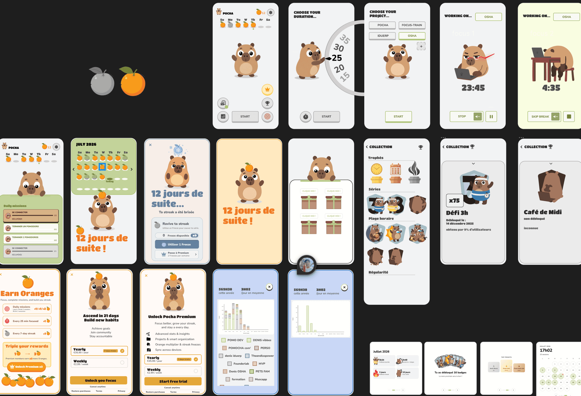 Aperçu du projet POCHA et POMOCHA